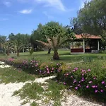 Despina