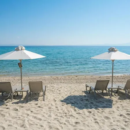 Despina 波利克罗诺