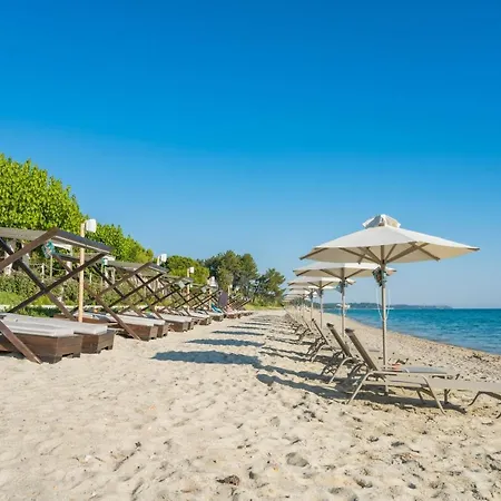 Despina 公寓 波利克罗诺